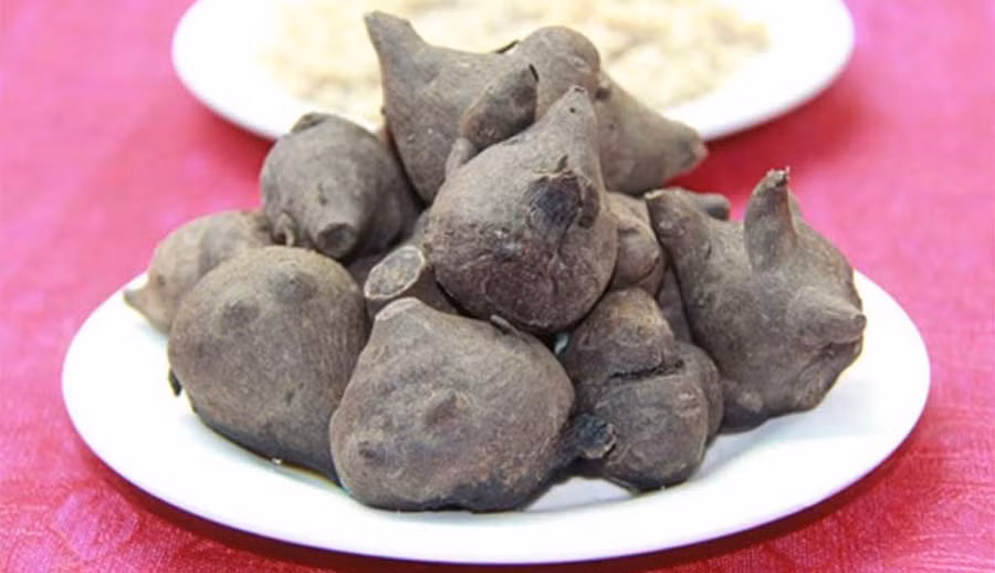 Bên cạnh đó, củ ấu tẩu còn là nguyên liệu nấu món cháo ấu tẩu đặc sản của người dân Hà Giang. Ảnh: 1top.