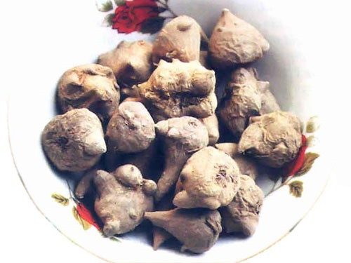 Mặc dù vậy, sau khi được bào chế cẩn thận, củ ấu tẩu lại là một vị thuốc quý đứng thứ 4 trong "tứ đại danh dược" (sâm, nhung, quế, phụ). Ảnh: blogspot.