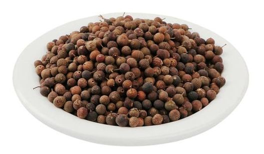 Quả thùn mùn có vị chua, ăn được, có tác dụng giải khát, đồng thời cũng có tác dụng trị giun. Ảnh: ydhvn.