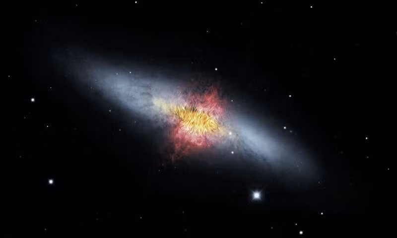 Tin bat ngo ve manh moi tien hoa cua cac thien ha