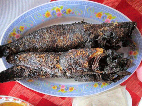 Cá cháy có nhiều cách ăn khác nhau nhưng điểm chung là dù ăn theo cách nào thì vẫn đảm bảo được trọn vẹn hương vị tuyệt vời của loài cá độc đáo này. Ảnh: dacsanviet.