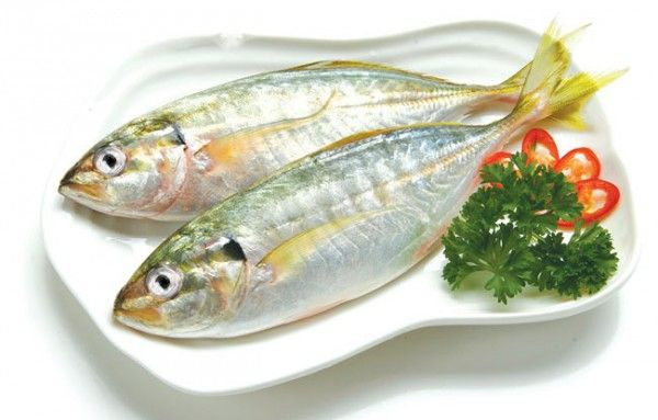 Trên thế giới, cá ba thú phân bố ở phân bố ở vùng biển Đài Loan, Indonesia, Malaysia, Phillippines. Ảnh: mytour.