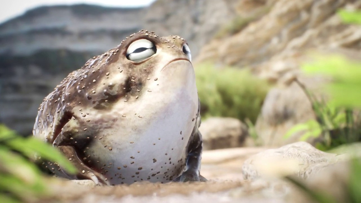 Ếch mưa sa mạc có lớp da màu nâu vàng và thường dính cát. Đặc biệt, mặt dưới của chúng có lớp da trong suốt, từ đó có thể thấy nội tạng. Ảnh: ytimg.