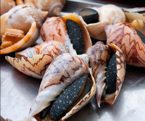 Ốc vôi có thể chế biến thành nhiều món ngon như luộc chấm mắm gừng, nướng bơ, nướng tỏi ớt…Ảnh: blogspot.