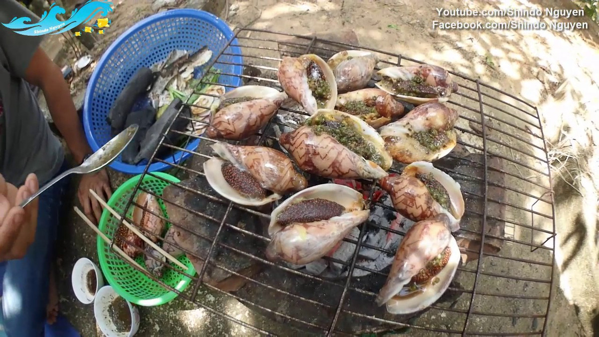 Nhiều người thường nhầm lẫn ốc vôi với ốc giác do chúng khá giống nhau. Ảnh: scdn.