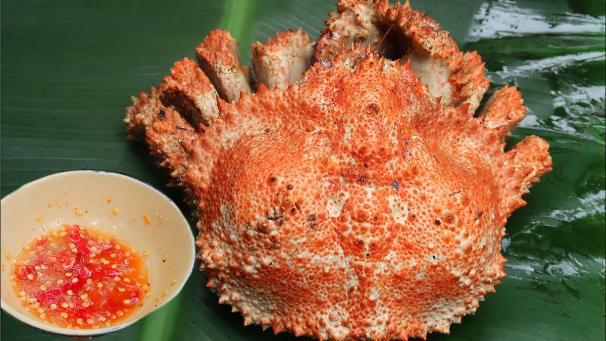 Nhiều người còn nhận định cua ruby có thịt ngon hơn cua hoàng đế. Ảnh: ytimg.