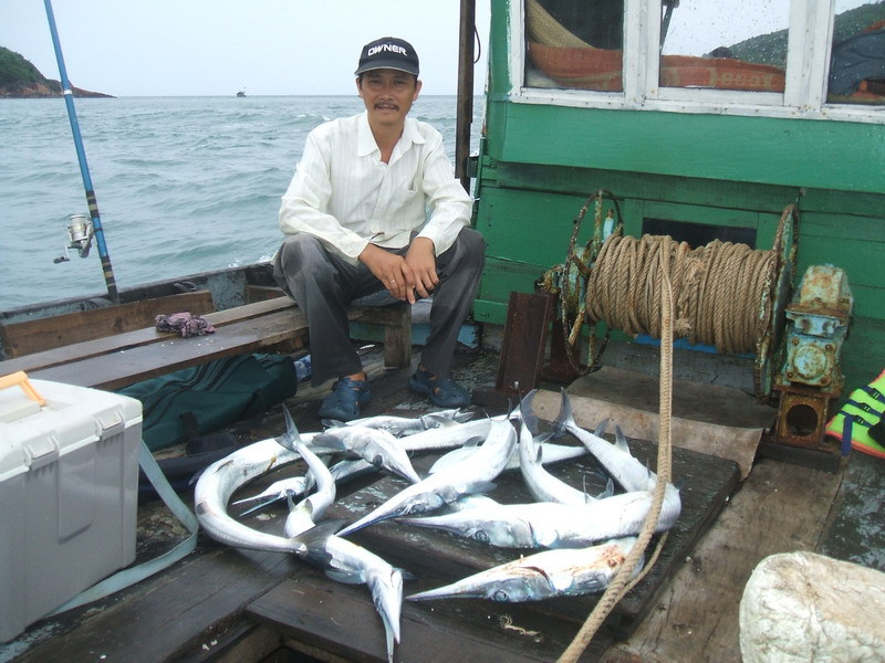 Cá nhói có thể đánh bắt bằng cách câu ghềnh hoặc câu ghe. Câu ghềnh thường câu bằng mồi tôm sống, các loại cá nhỏ bắt gần bờ trong khi câu ghe sẽ câu ở những vị trí xa bờ để câu cá nhói nặng trên 3kg - 4kg. Ảnh: wordpress.