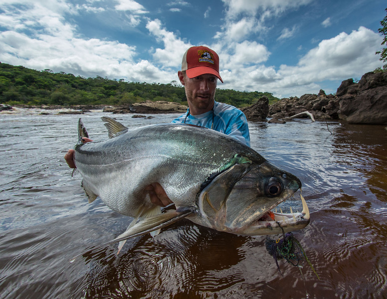 Cá ma cà rồng là loài cá săn mồi thuộc vào hàng cực kỳ hung tợn. Thậm chí, nó còn được mệnh danh là loài cá nước ngọt hung dữ nhất thế giới. Ảnh: smugmug.