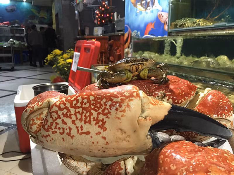 Để bắt được cua Tasmania, các thợ lặn phải dùng đến những dụng cụ chuyên dụng hỗ trợ cho việc lặng sâu xuống biển lạnh, nơi hang sâu khe đá ngầm. Ảnh: huyhoangviet.