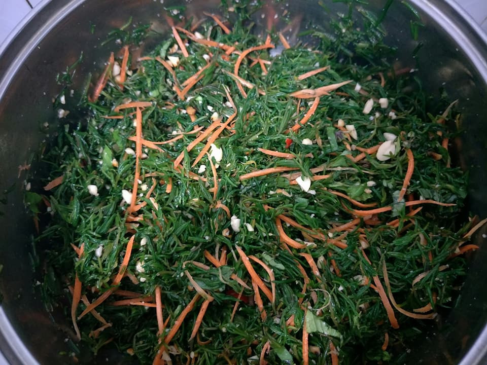 Vì sinh trưởng và phát triển trong môi trường tự nhiên nên rau nhót được xem là loại rau sạch và tốt cho sức khỏe. Ảnh: dulichnghean.