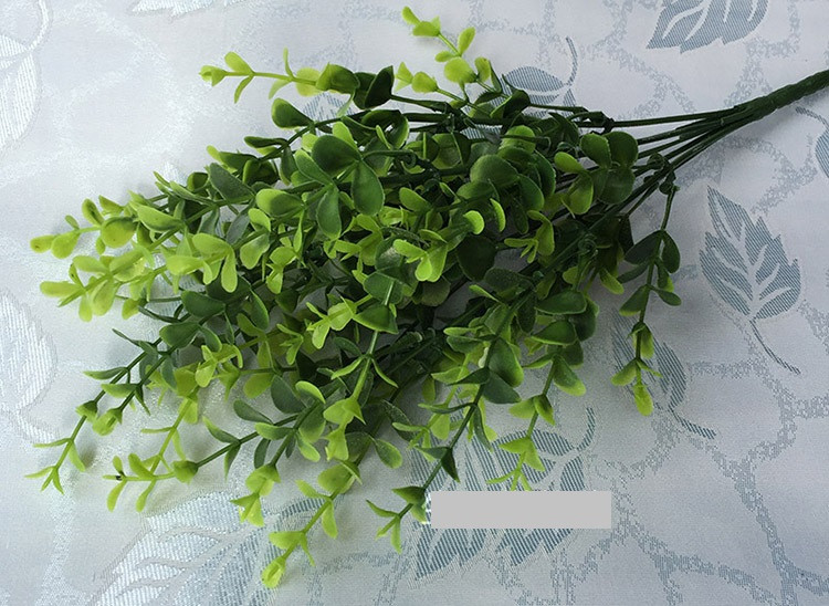 Toàn bộ có thể được thu hái quanh năm để làm thuốc, có tác dụng lợi tiểu, sát trùng tiêu viêm. Ảnh: scdn.