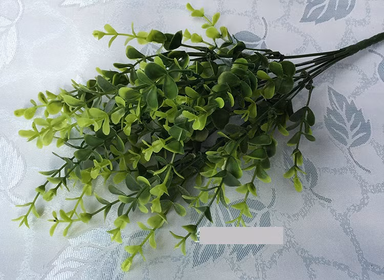 Toàn bộ có thể được thu hái quanh năm để làm thuốc, có tác dụng lợi tiểu, sát trùng tiêu viêm. Ảnh: scdn.