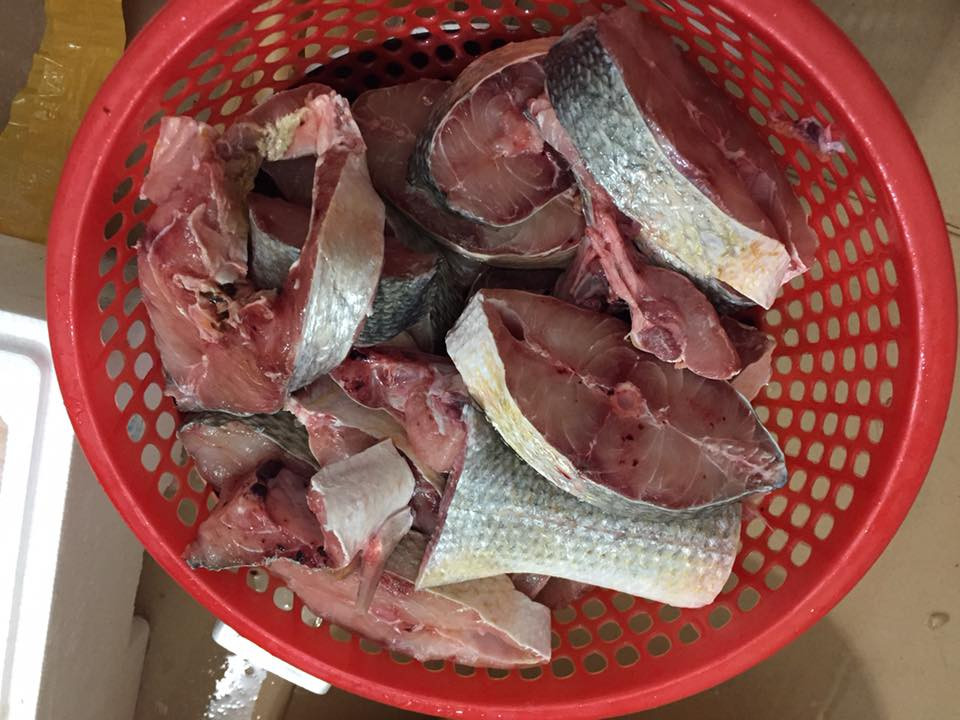 Cá nhụ có thể được chiên hoặc kho tiêu sọ đều ngon. Ngoài ra, người ta còn phơi khô cá nhụ để kho ăn trong ngày mưa hoặc đổi món. Ảnh: facebook.