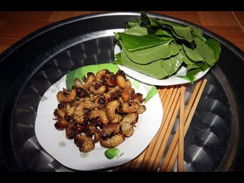 Sùng đất trưởng thành vào mùa mưa, độ giữa tháng 8 cho đến hết tháng 12 (âm lịch). Ảnh: headlines.