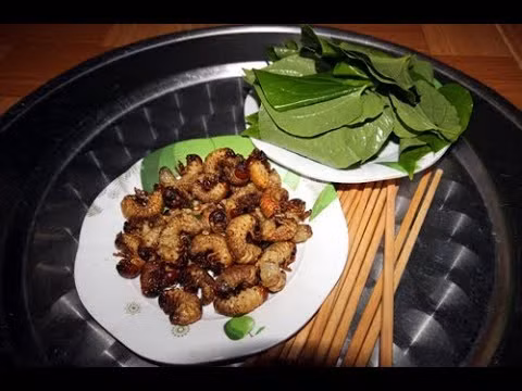 Sùng đất trưởng thành vào mùa mưa, độ giữa tháng 8 cho đến hết tháng 12 (âm lịch). Ảnh: headlines.