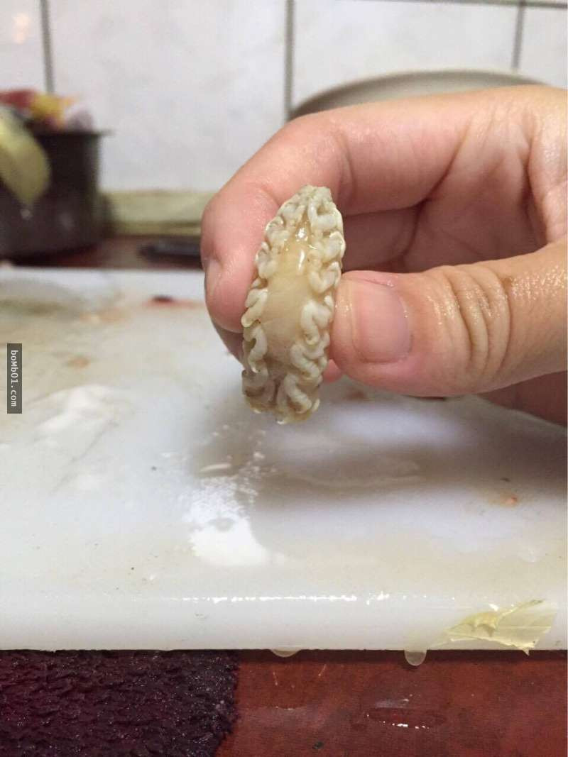 Cymothoa Exigua sinh ra là đực nhưng đến tuổi trưởng thành, chúng sẽ tự "chuyển giới" thành con cái. Ảnh: images.
