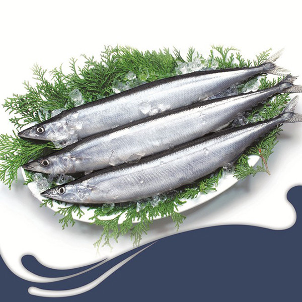 Trước đây, cá thu đao bị xem như một thực phẩm cấp thấp bởi các loại cá trắng được ưa chuộng hơn nhiều. Ảnh: tctimexco.