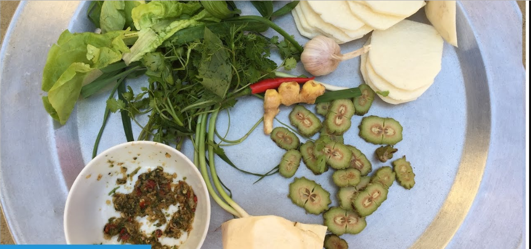 Mùa thu hoạch quả mắc sim từ tháng 8 - tháng 10 hàng năm. Ảnh: blogspot.