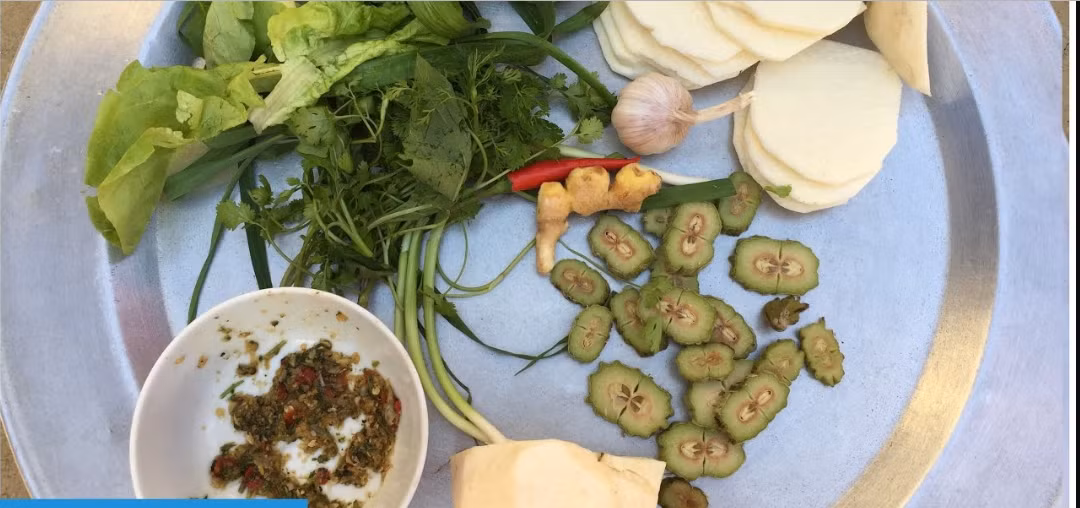 Mùa thu hoạch quả mắc sim từ tháng 8 - tháng 10 hàng năm. Ảnh: blogspot.