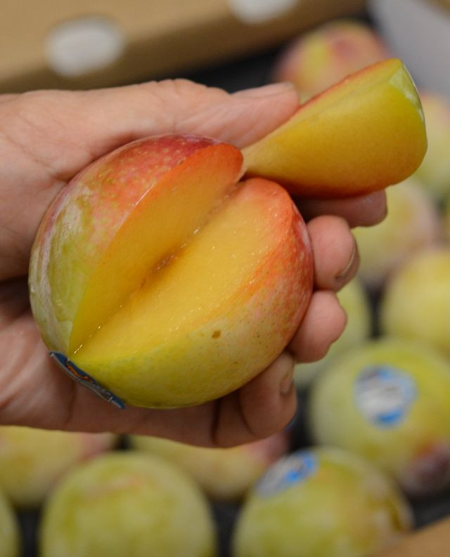 Mận này có tên gọi là mận khủng long vì quả rất to, có quả to bằng nắm tay. Một quả có trọng lượng trung bình từ 700g đến 1kg. Ảnh: lozi.