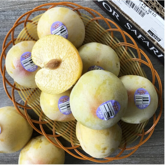 Mận khủng long Mỹ rất giàu chất dinh dưỡng như vitamin A, vitamin C, vitamin E, vitamin K, sắt, magiê, kẽm, canxi và đồng. Ảnh: 24h.