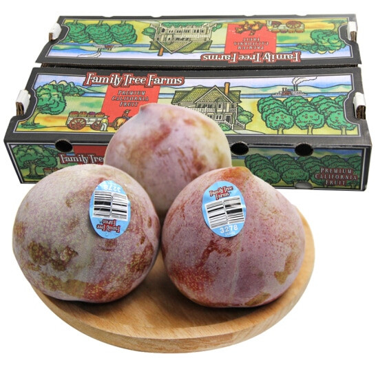 Mận khủng long Mỹ có hai loại là mận khủng long tím và mận khủng long xanh. Ảnh: vinfruits.