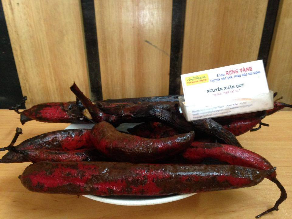 Cây bòi vịt là cây thuốc nam hiếm, thường mọc hoang dại ở ven sông, suối trong rừng. Ảnh: rungvang.