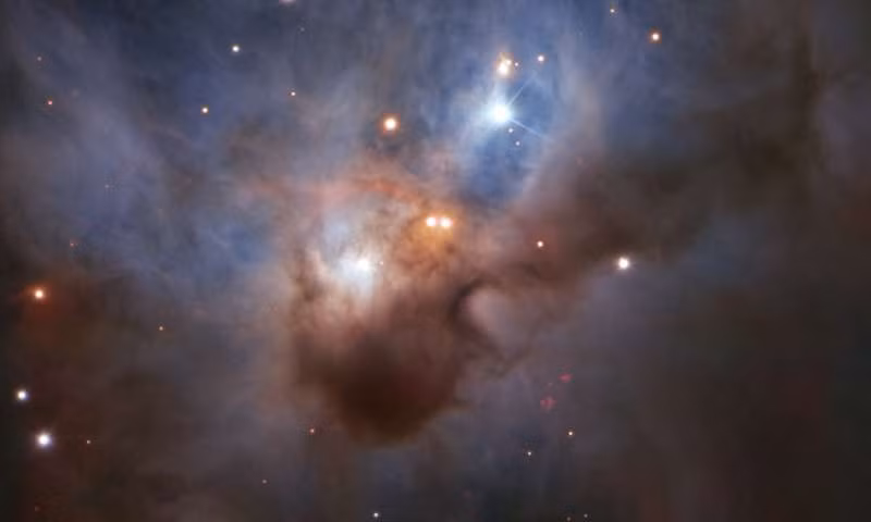 Kỳ thú phát hiện tinh vân con dơi trong vũ trụ Ky thu phat hien tinh van con doi trong vu tru