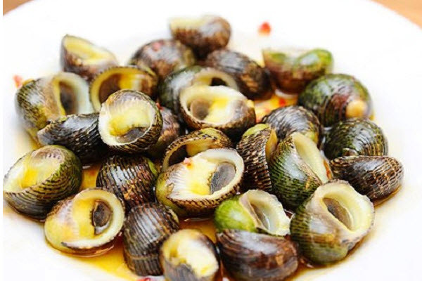 Tại Việt Nam, ốc ngựa có rải rác ở miền trung nhưng xuất hiện chủ yếu ở các tỉnh miền nam, như Cần Giờ, Gò Công - Tiền Giang và Cà Mau. Ảnh: hocnauan.