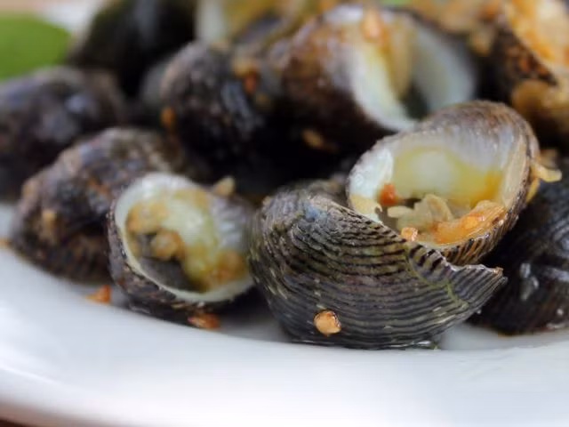 Ốc ngựa còn được biết đến với tên gọi khác là ốc bờm ngựa, ốc vằn. Tên khoa học của nó là Nerita undat. Ảnh: lozi.