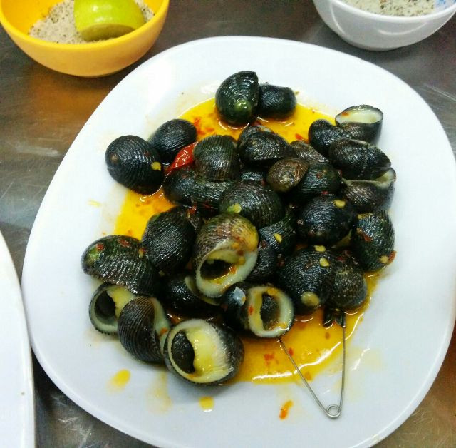 Ốc ngựa là loài động vật kiếm ăn về đêm. Ảnh: lozi.