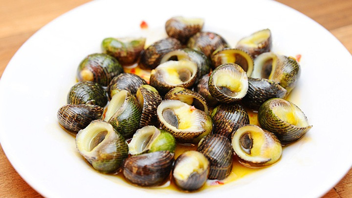 Ốc ngựa là loài sống đáy, thường được tìm thấy trong bùn hoặc trên các bãi đá ngầm, độ sâu 0-3m ở những vùng biển nhiệt đới. Ảnh nhahanghuongsen.