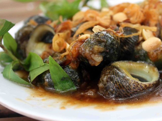 Không những vậy, thịt ốc ngựa còn rất giàu dinh dưỡng với vitamin AE, E, K, canxi, protein...Ảnh: lozi.