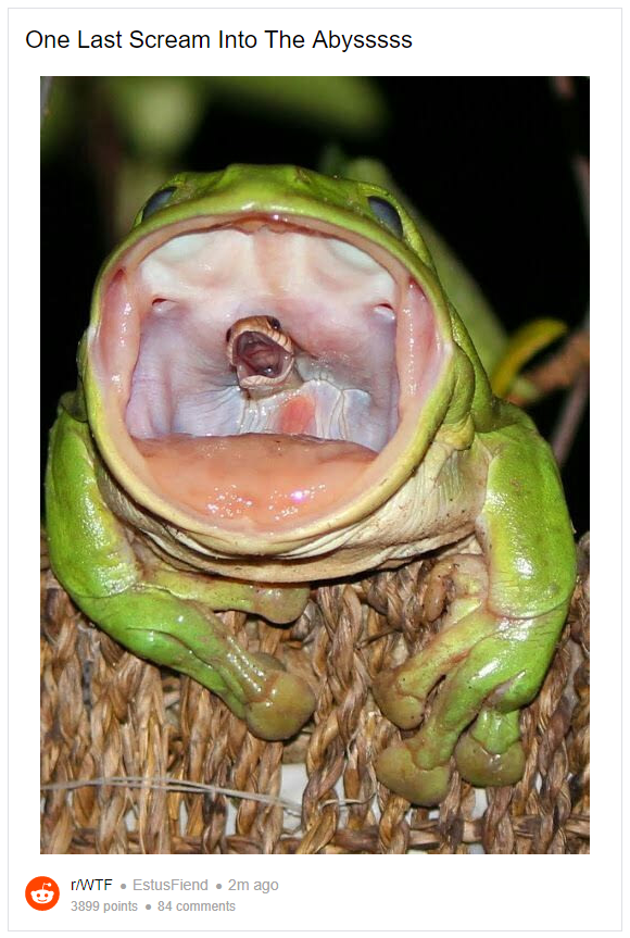 Một nhiếp ảnh gia động vật hoang dã người Australia, tên là Julie-Anne O'Neill đã chụp được khoảng khắc này trong một cơn bão. Đúng là khi kích thước trở nên vượt trội, "ván cờ" hoàn toàn có thể lật ngược 