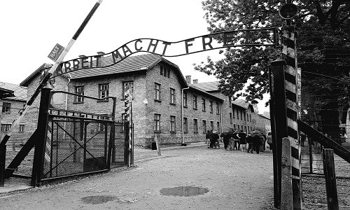 Theo ước tính, trong thời gian hoạt động từ tháng 6/1940 - 1/1945, hơn 1 triệu người Do Thái, 150.000 người Ba Lan, 15.000 tù binh Liên Xô và hàng chục ngàn người ở nhiều quốc gia bị phát xít Đức giết hại tại trại "hủy diệt" Auschwitz-Birkenau.