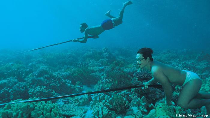 Bộ tộc Bajau có thể lặn rất sâu mà không cần dùng bất cứ thiết bị hỗ trợ nào ngoài một bộ quả cân và cặp kính bảo hộ.