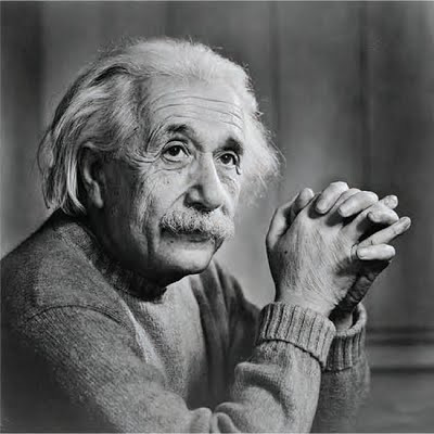 Liersel Einstein chỉ được nhận là con trong những bức thư trao đổi qua lại giữa vợ chồng Albert Einstein. Einstein sinh ra bị thiểu năng trí tuệ và được cho rằng qua đời năm 1 tuổi vì bệnh sốt ban đỏ.