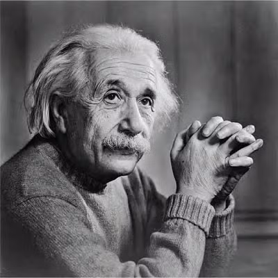 Liersel Einstein chỉ được nhận là con trong những bức thư trao đổi qua lại giữa vợ chồng Albert Einstein. Einstein sinh ra bị thiểu năng trí tuệ và được cho rằng qua đời năm 1 tuổi vì bệnh sốt ban đỏ.