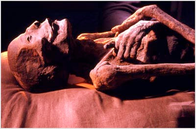 Việc ướp xác pharaoh Ai Cập có nhiều điểm khác biệt so với các xác ướp của những người đến từ tầng lớp thấp hơn trong xã hội.