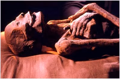 Việc ướp xác pharaoh Ai Cập có nhiều điểm khác biệt so với các xác ướp của những người đến từ tầng lớp thấp hơn trong xã hội.