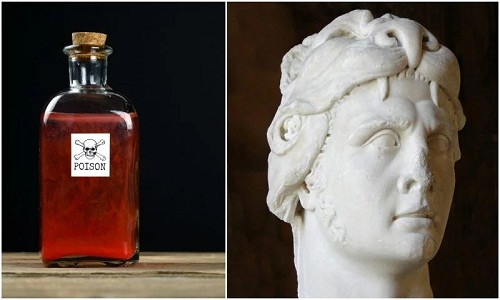 Chi tiet kinh ngac ve vi vua mien nhiem voi moi loai doc duoc