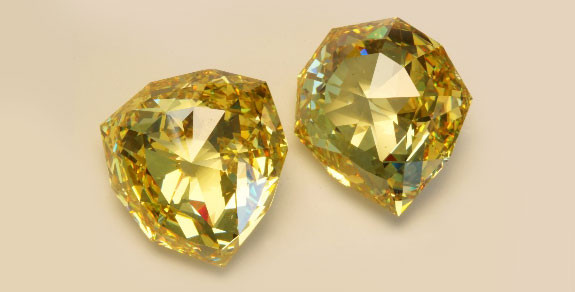 Bà Anna Maria Luisa de' Medici là người cuối cùng của gia tộc Medici sở hữu viên kim cương giá trị trên.