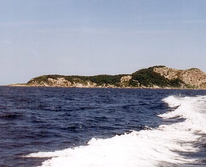 Thay vào đó, chỉ có các nhà nghiên cứu mới có thể ghé thăm hòn đảo Rắn nổi tiếng thế giới.