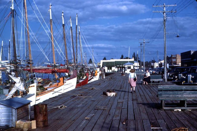 Khung cảnh tuyệt đẹp tại một bến tàu ở Florida năm 1946.