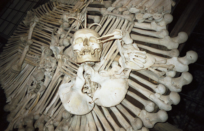 Nhà thờ Sedlec, còn được gọi là nhà thờ xương người, nằm ở Cộng hòa Séc gây chú ý vì có khoảng 40.000 - 70.000 bộ xương người được trưng bày.