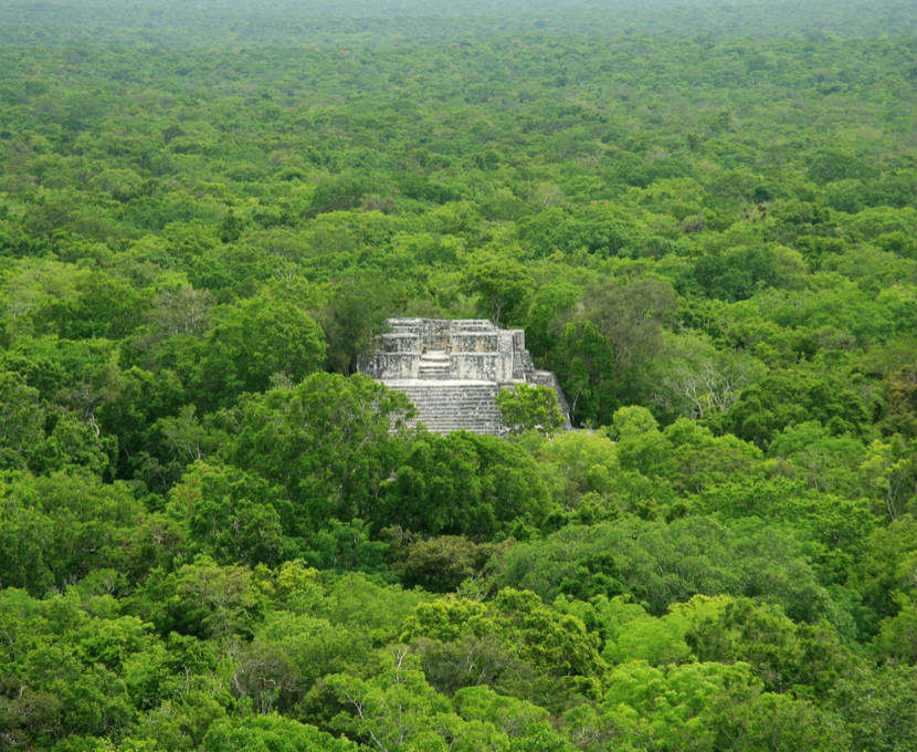 Theo các nghiên cứu của giới chuyên gia, thành phố cổ Calakmul tồn tại trong 12 thế kỷ (từ năm 550 trước Công nguyên - 900 sau Công nguyên).