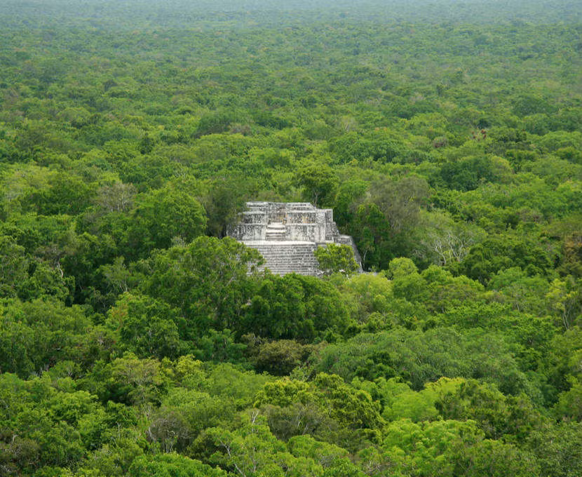Theo các nghiên cứu của giới chuyên gia, thành phố cổ Calakmul tồn tại trong 12 thế kỷ (từ năm 550 trước Công nguyên - 900 sau Công nguyên).
