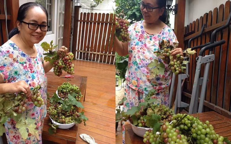 Loat my nhan Viet kiem tien ty lon len tu hang quan cua me-Hinh-7