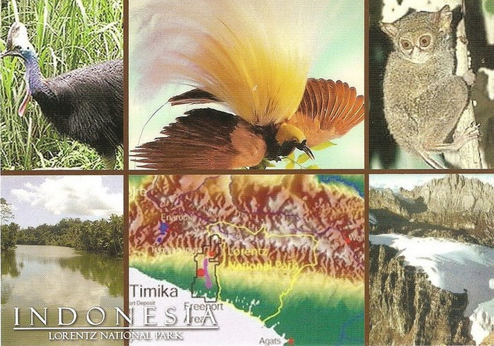 UNESCO công nhận Vườn quốc gia Lorentz là di sản thế giới vào năm 1999. Vườn quốc gia này là nơi sinh sống của hàng trăm loài chim và các động vật có vú khác, trong đó có một số loài thuộc dạng quý hiếm cần được bảo vệ.