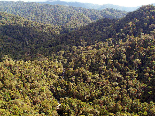 Vườn quốc gia Lorentz nằm ở tỉnh Papua, Indonesia. Đây là một trong những vườn quốc gia đa dạng sinh học nhất thế giới. Với diện tích 25.056 km2, Lorentz trở thành Vườn quốc gia lớn nhất Đông Nam Á.